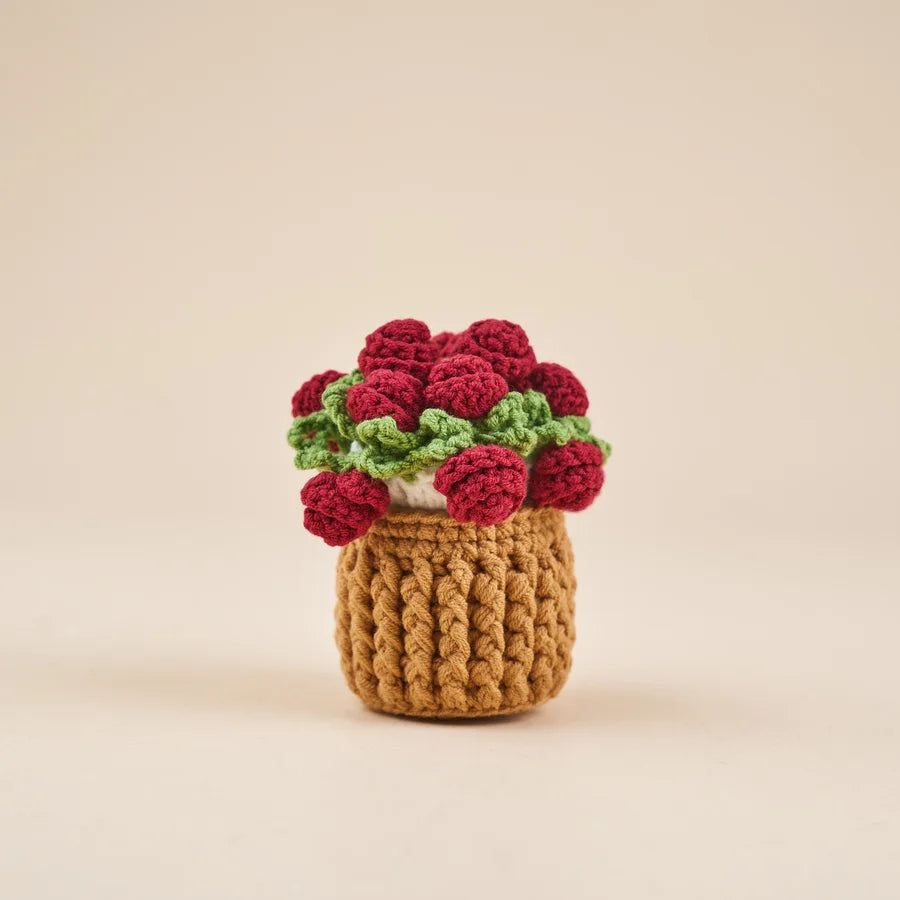 Rose Garden Crochet Coaster